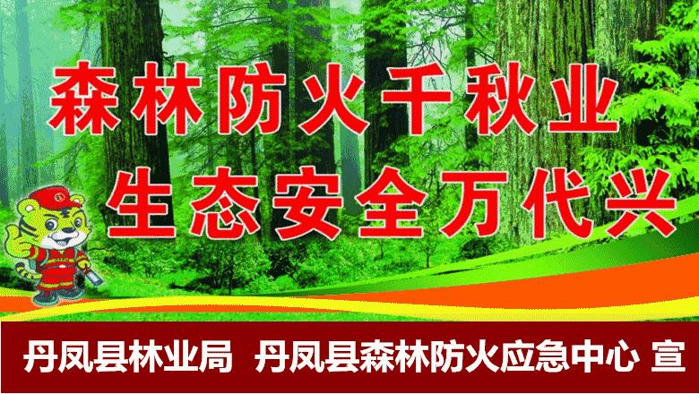 丹凤的古城,丹凤一座让你不得不爱的美丽山城