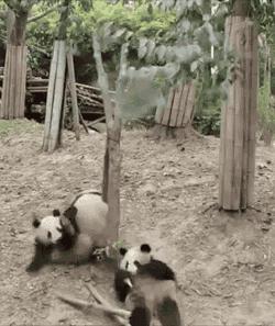 囧叔吐槽,囧吐槽