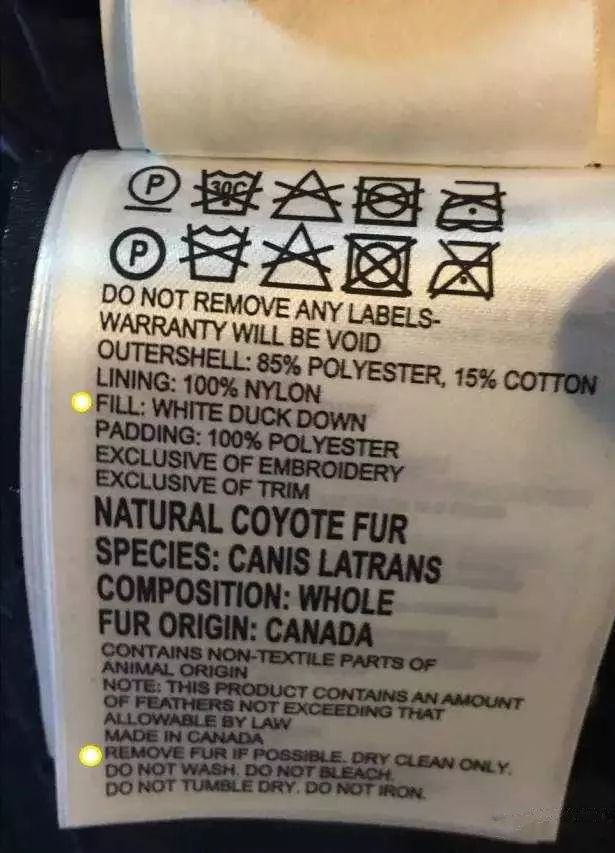 鎶勮鐨勬渶楂樺鐣屾湁澶氶珮,canadagoose