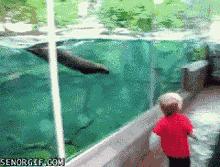 囧吐槽：看自己女朋友*裤内**怎么了