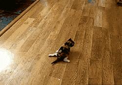 囧叔吐槽,囧吐槽