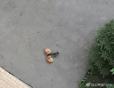 囧叔吐槽,囧吐槽