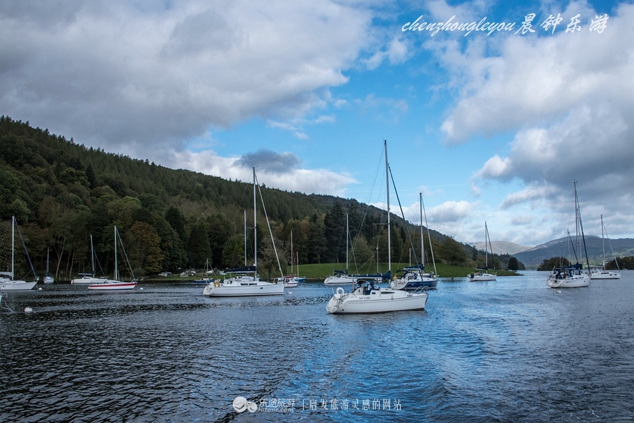 一只兔子原版抖音视频,一只低调奢华的兔子