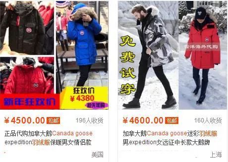 鎶勮鐨勬渶楂樺鐣屾湁澶氶珮,canadagoose