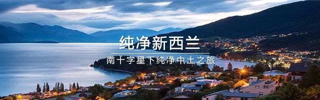 澳门赌王女儿入境新西兰居然被扣，她究竟带了什么？