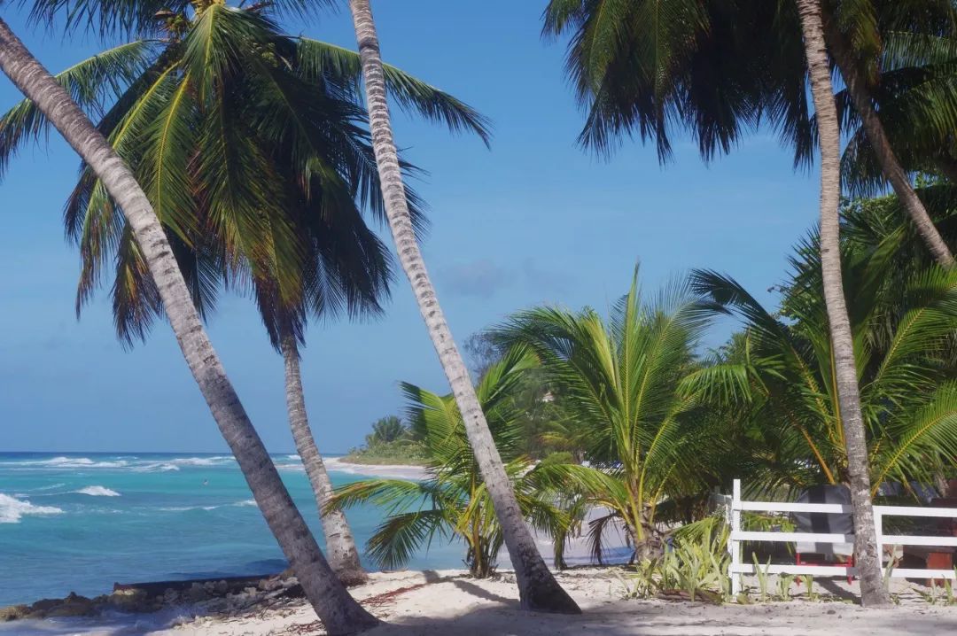 中国护照免签证国家一览表,护照下来去免签国家还需要签证吗