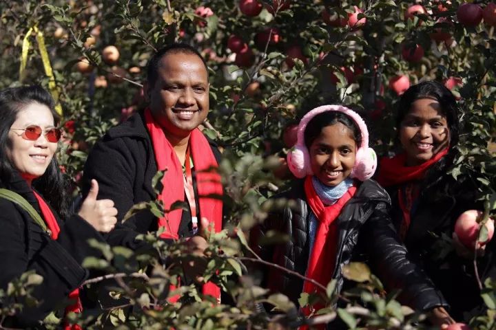 借鉴青岛发展全域旅游经验,莱西全域旅游