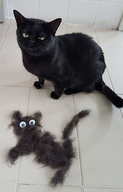 囧吐槽：看自己女朋友*裤内**怎么了