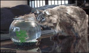 囧吐槽：看自己女朋友*裤内**怎么了