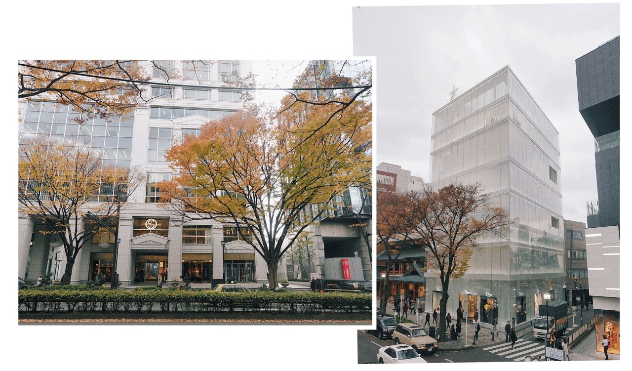 旅行日记好看吗,旅行记日本