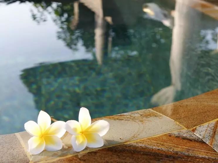 冬季深圳短途自驾一日游,深圳周边游玩好城市