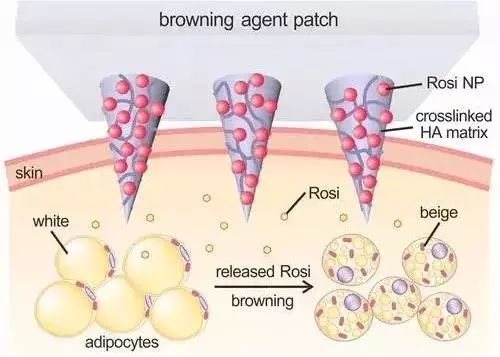 看文献的优点和缺点,看文献的话有哪些好处啊