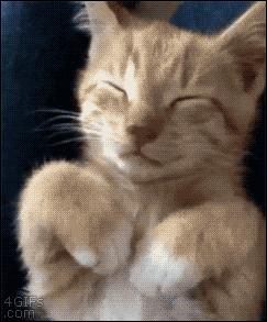 囧吐槽：看自己女朋友*裤内**怎么了