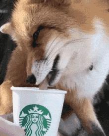 囧吐槽：看自己女朋友*裤内**怎么了