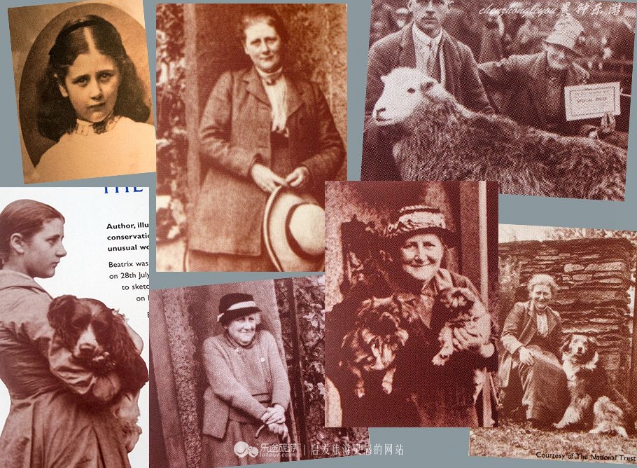 一只兔子原版抖音视频,一只低调奢华的兔子