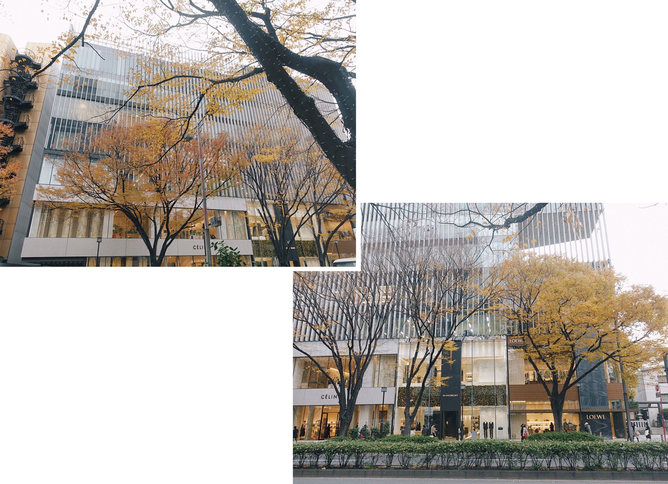 旅行日记好看吗,旅行记日本