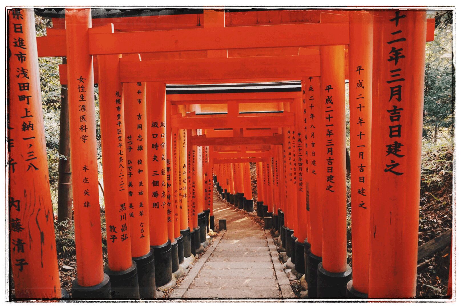 旅行日记好看吗,旅行记日本