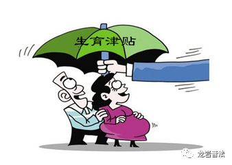 龙岩生育保险怎么报,生育保险怎么报