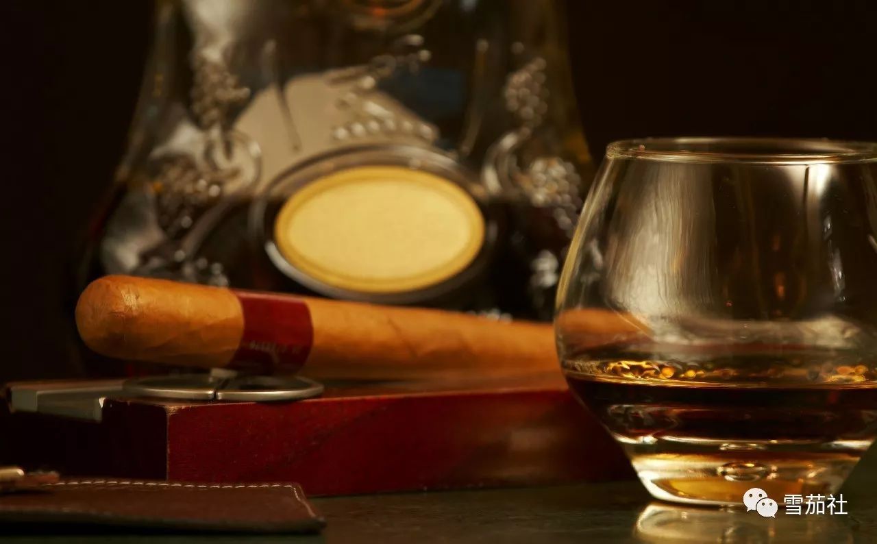 抽雪茄如何避免头晕恶心,抽雪茄晕吐怎么解决