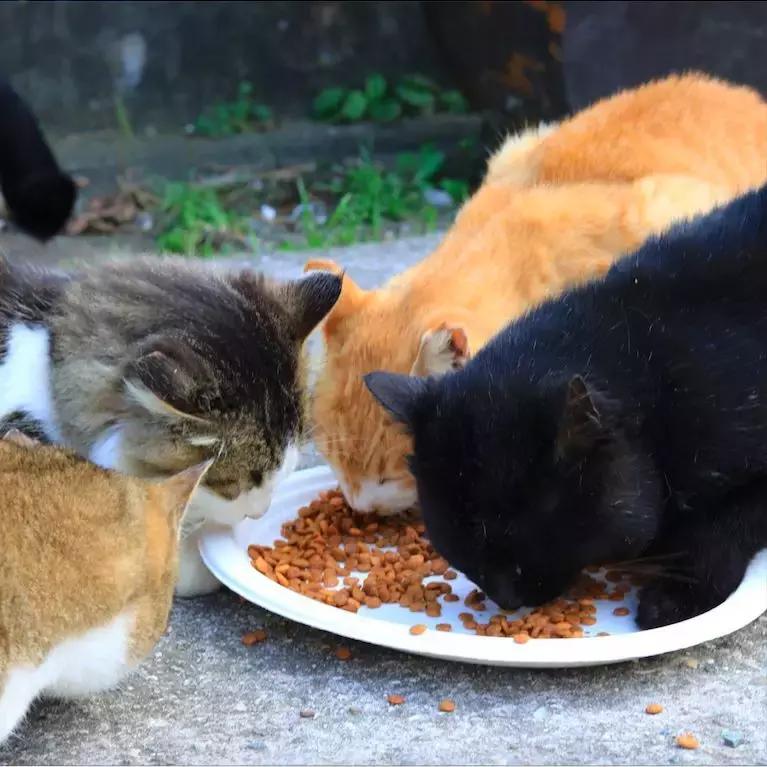 宫崎骏笔下的场景是真实存在的,宫崎骏现实版的场景