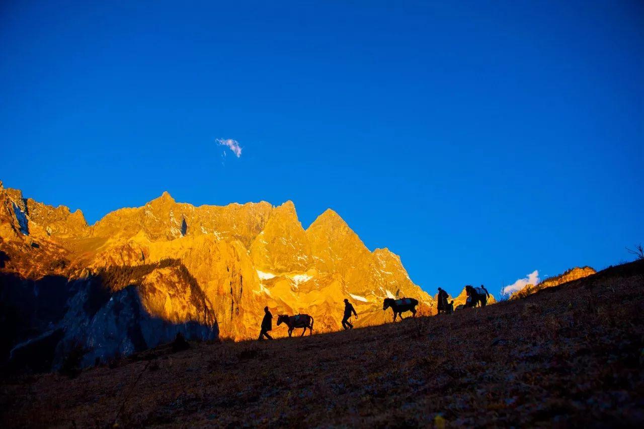 关于冬季里的温暖的故事,天冷了要听一些温暖的故事