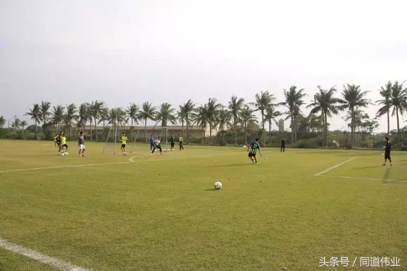 中乙新军有多强,中乙新军大连智行