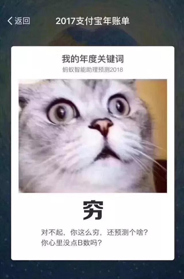 支付宝2018年账单说说,2019年支付宝账单关键词别具一格