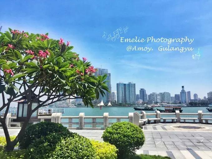 厦门旅游攻略厦门站到鼓浪屿,厦门鼓浪屿下雨有什么攻略