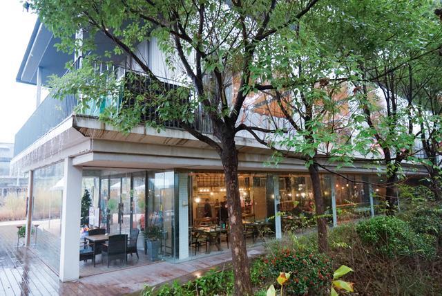 我和玛莎拉蒂的故事,我与玛莎拉蒂的故事