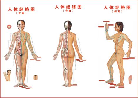 中医穴位知识大全,穴位功效大全快收藏吧