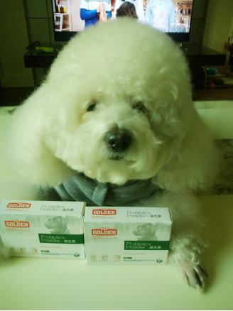 狗狗吃益生菌用法与用量,狗狗为什么要吃消炎药