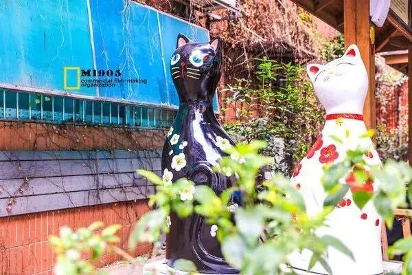 厦门旅游攻略厦门站到鼓浪屿,厦门鼓浪屿下雨有什么攻略