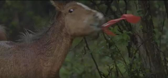 终点亦是起点青春永不散场,终点亦是起点起点亦是终点