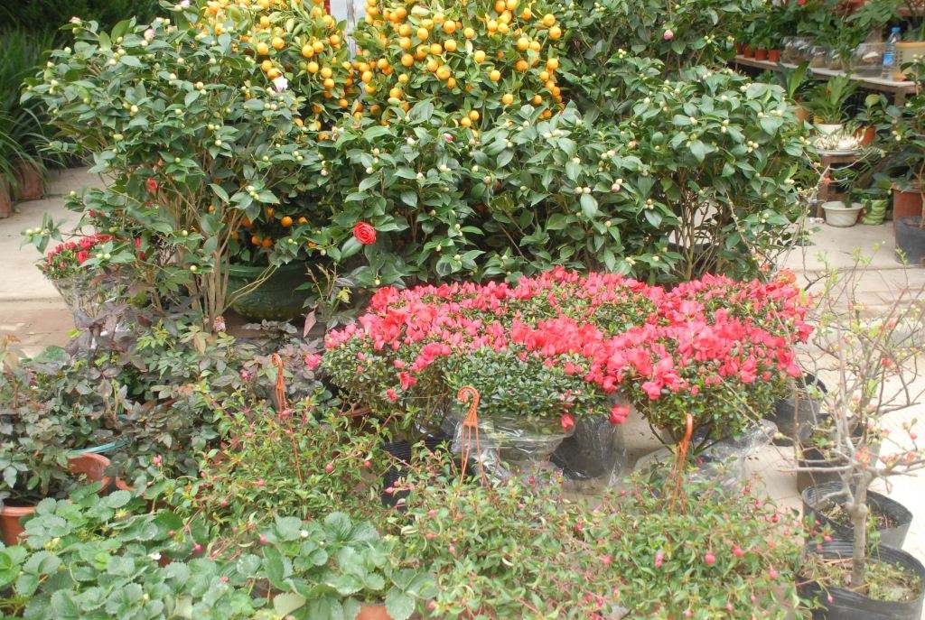 家庭机械加工创业项目,创业项目家庭小型设备