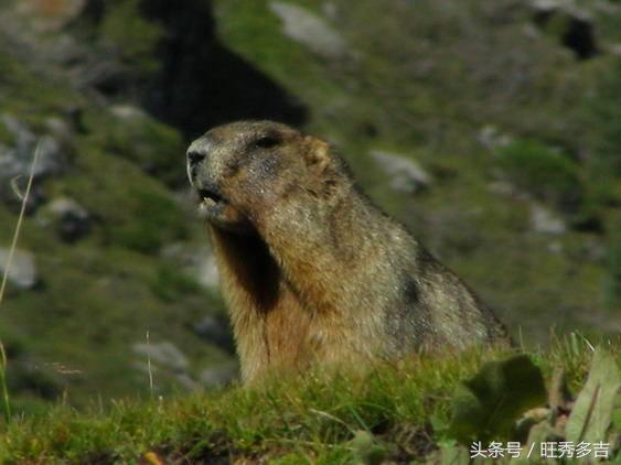 自驾徒步乌孙古道徒步路线图,徒步旅行日记