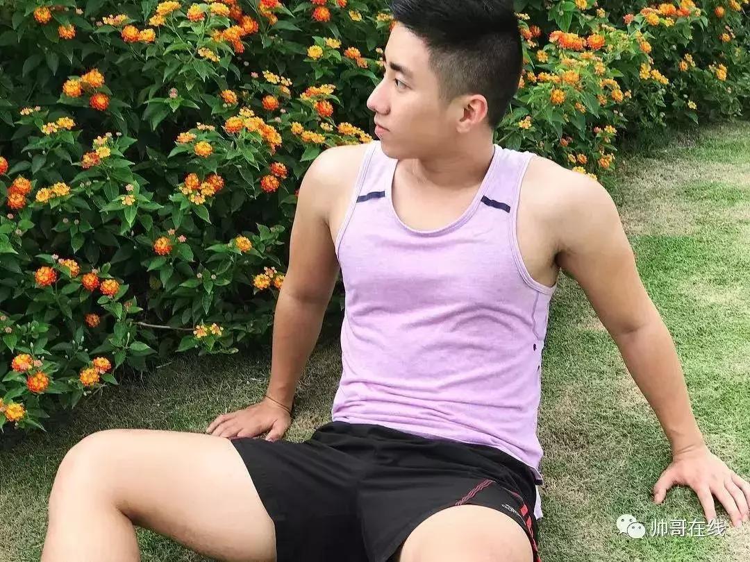 捉到一只小可爱原版,捉到一只小可爱