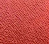 不瞒你说，用了这支小众口红我丢了我的阿玛尼！