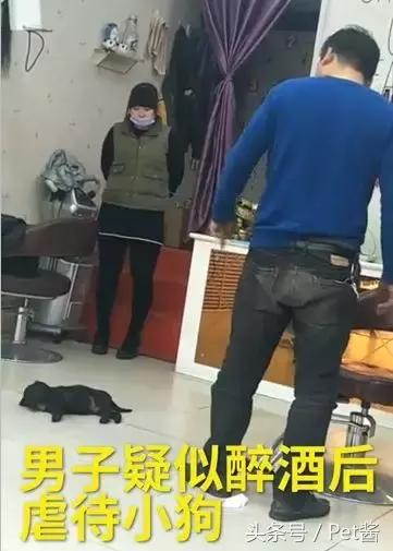 男子虐待狗狗后续,男子疑虐待自家宠物狗