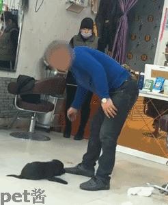 男子虐待狗狗后续,男子疑虐待自家宠物狗