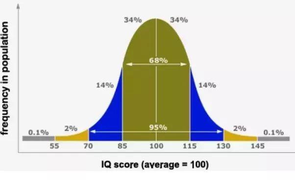 牛蛙是怎么聪明的,北京海淀牛娃长大都在做什么