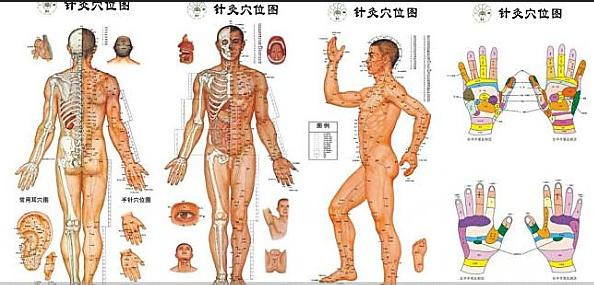 中医穴位知识大全,穴位功效大全快收藏吧