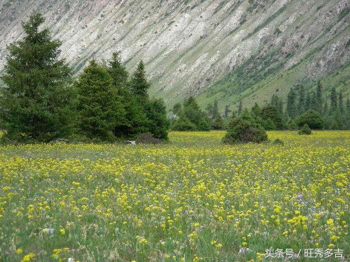 自驾徒步乌孙古道徒步路线图,徒步旅行日记