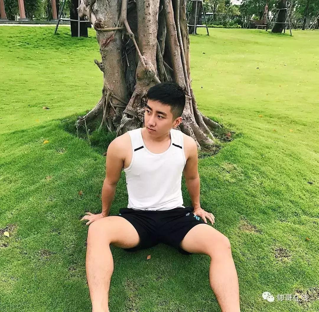 捉到一只小可爱原版,捉到一只小可爱