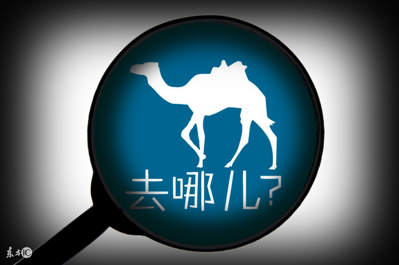 机票一般哪个平台买,国际机票在哪个平台上可以买