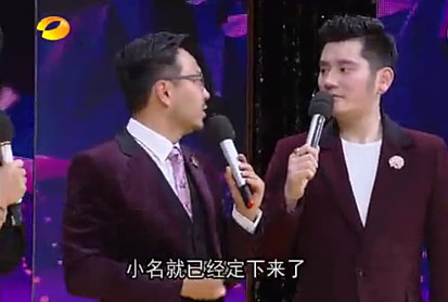 袁泉汪峰,袁泉和汪峰