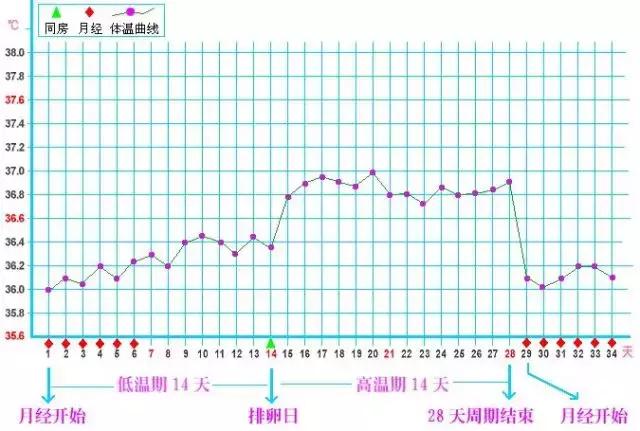 备孕一定要相信科学,备孕需要知道真话实话