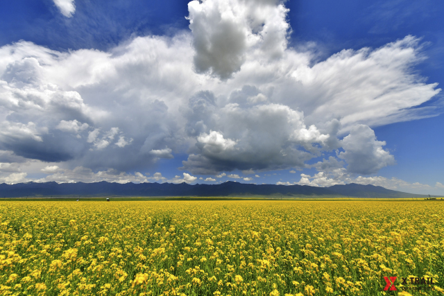 终点亦是起点青春永不散场,终点亦是起点起点亦是终点