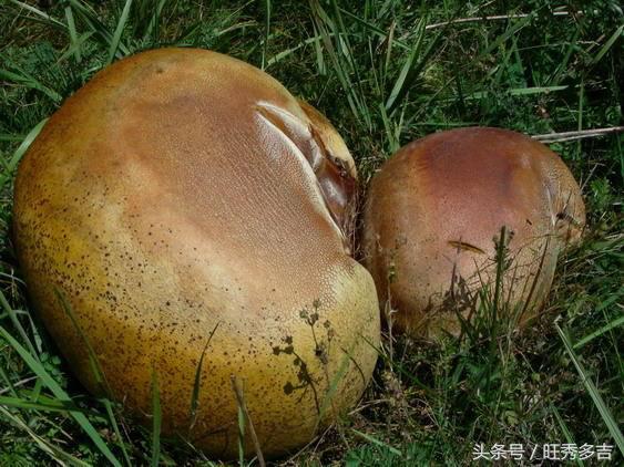 自驾徒步乌孙古道徒步路线图,徒步旅行日记