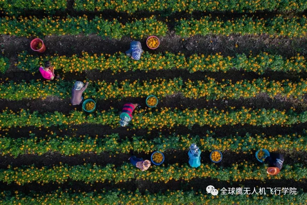 目前最好的高清无人机航拍,最震撼的无人机摄影