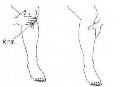 长期胃寒怎么通过食疗来治,胃寒怎么调理食谱